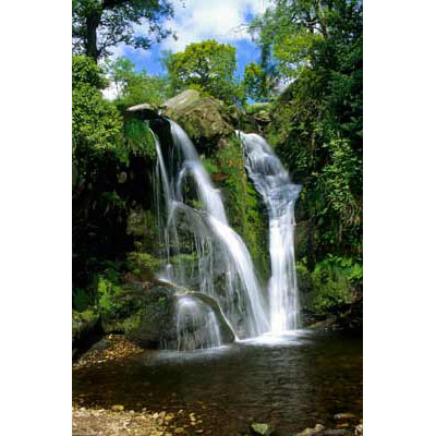 Wf0_Posforth Gill Force